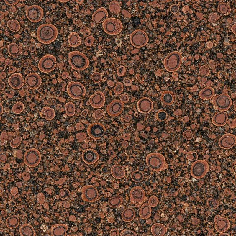 Baltic Brown – brun granit, polerad yta